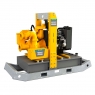 Мотопомпа PAS100 MF 225
